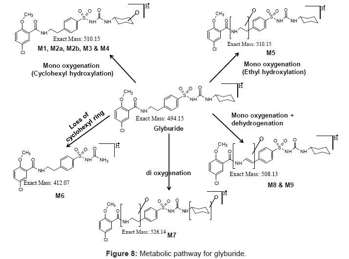 analytical-bioanalytical-techniques-Metabolic-pathway-glyburide