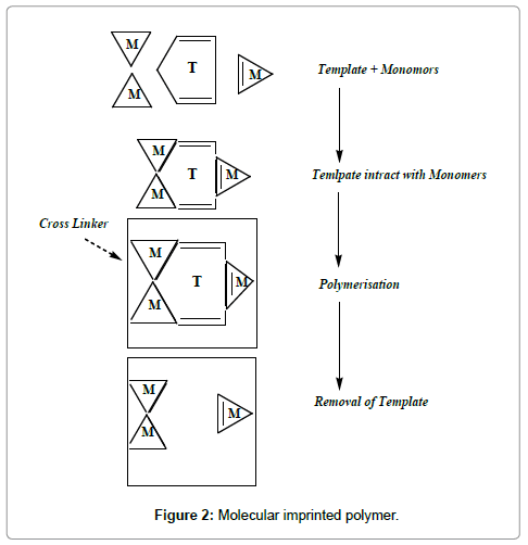 analytical-bioanalytical-techniques-Molecular-imprinted-polymer