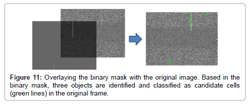 analytical-bioanalytical-techniques-Overlaying-binary-mask-original-image