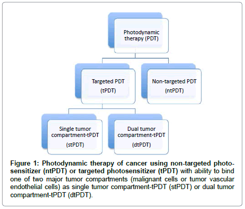 analytical-bioanalytical-techniques-Photodynamic-therapy-cancer