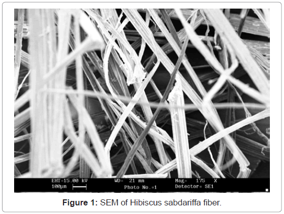 analytical-bioanalytical-techniques-SEM-Hibiscus-sabdariffa