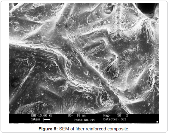 analytical-bioanalytical-techniques-SEM-fiber-reinforced
