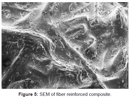 analytical-bioanalytical-techniques-SEM-fiber-reinforced