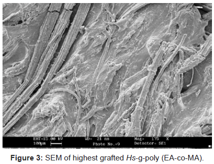 analytical-bioanalytical-techniques-SEM-highest-grafted