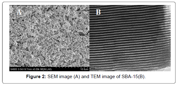 analytical-bioanalytical-techniques-SEM-image