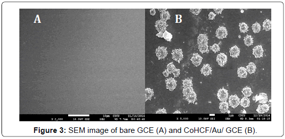 analytical-bioanalytical-techniques-SEM-image-bare