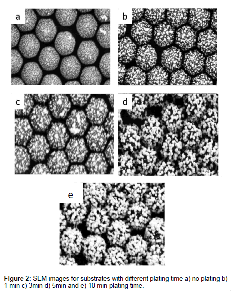 analytical-bioanalytical-techniques-SEM-images
