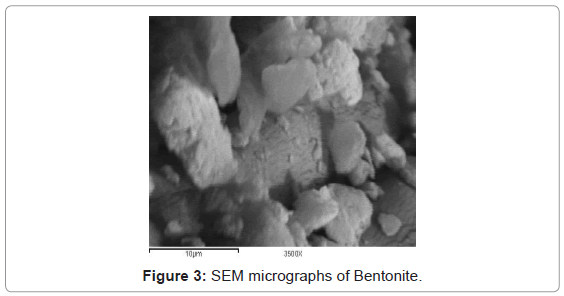 analytical-bioanalytical-techniques-SEM-micrographs-Bentonite