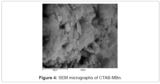 analytical-bioanalytical-techniques-SEM-micrographs-CTAB-MBn