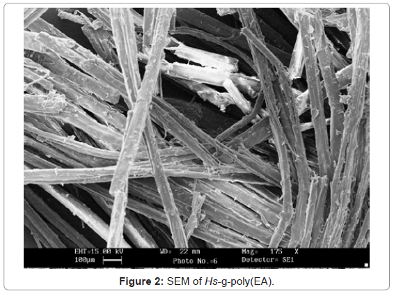 analytical-bioanalytical-techniques-SEM-poly