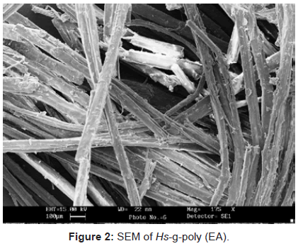 analytical-bioanalytical-techniques-SEM-poly