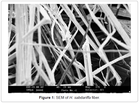 analytical-bioanalytical-techniques-SEM-sabdariffa-fiber