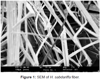 analytical-bioanalytical-techniques-SEM-sabdariffa-fiber