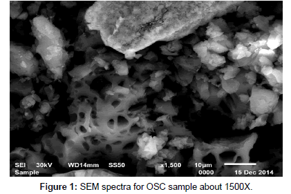 analytical-bioanalytical-techniques-SEM-spectra