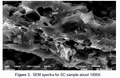 analytical-bioanalytical-techniques-SEM-spectra