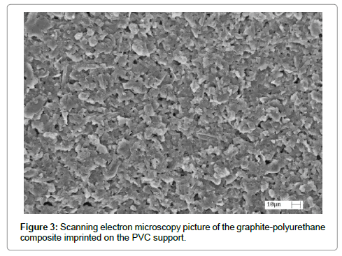 analytical-bioanalytical-techniques-Scanning-electron-microscopy-picture