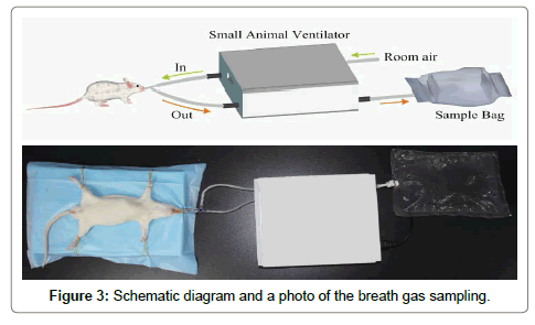 analytical-bioanalytical-techniques-Schematic-diagram-photo