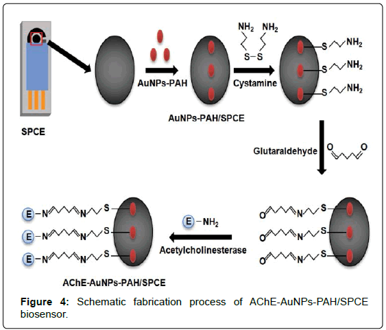 analytical-bioanalytical-techniques-Schematic-fabrication-biosensor