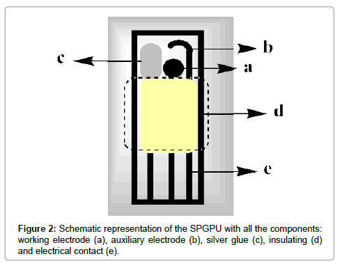 analytical-bioanalytical-techniques-Schematic-representation-SPGPU