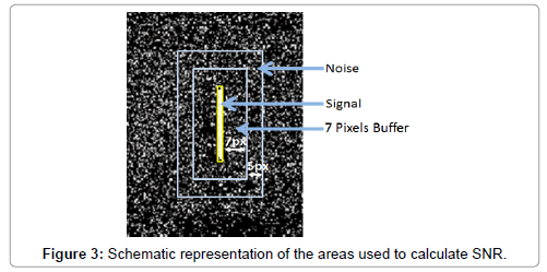 analytical-bioanalytical-techniques-Schematic-representation-areas-calculate-SNR