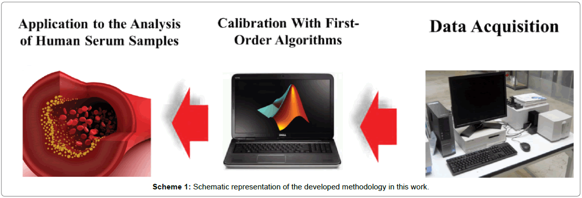 analytical-bioanalytical-techniques-Schematic-representation-developed