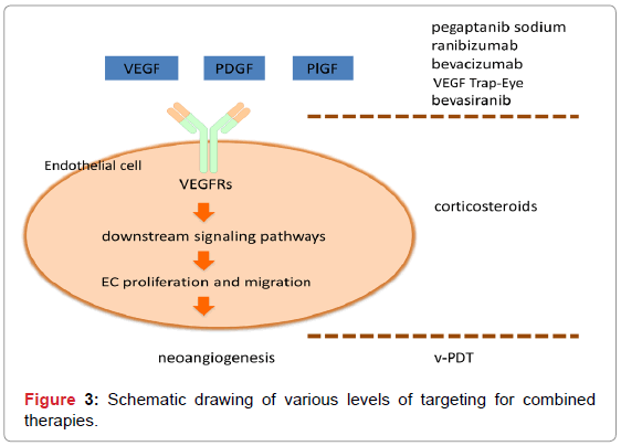 analytical-bioanalytical-techniques-Schematic-targeting-therapies