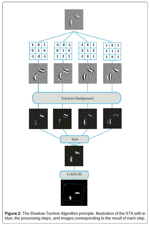 analytical-bioanalytical-techniques-Shadow-Technic-Algorithm