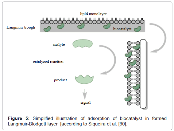 analytical-bioanalytical-techniques-Simplified-illustration-adsorption