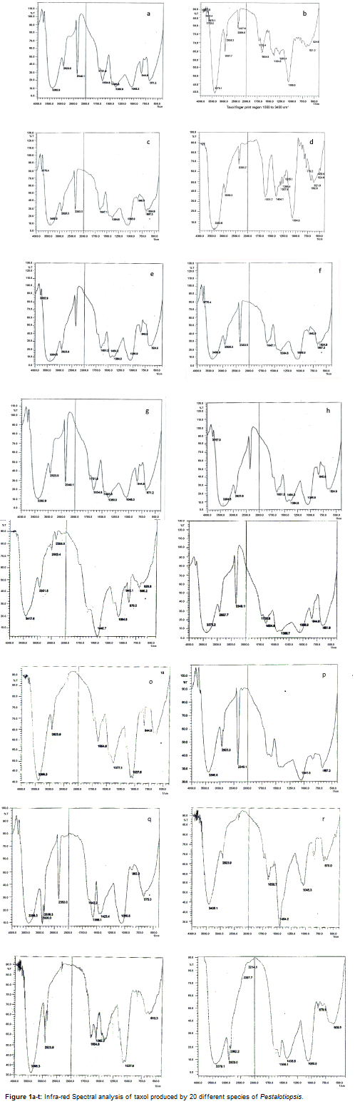 analytical-bioanalytical-techniques-Spectral-analysis