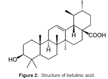 analytical-bioanalytical-techniques-Structure-betulinic-acid