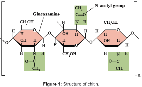 analytical-bioanalytical-techniques-Structure-chitin