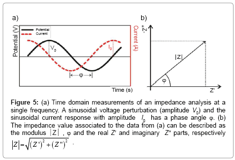 analytical-bioanalytical-techniques-Time-domain
