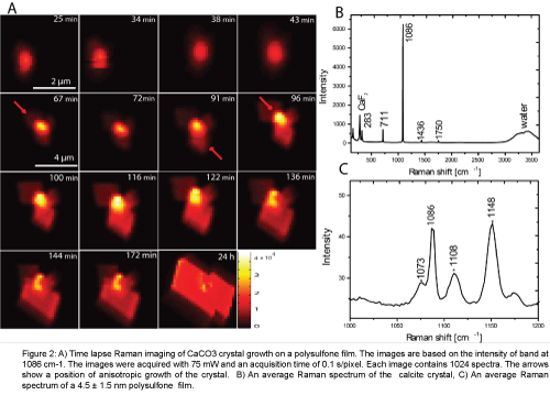 analytical-bioanalytical-techniques-Time-lapse-Raman