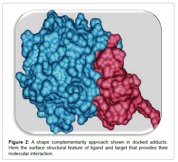 analytical-bioanalytical-techniques-Transmittance-shape-complementarity