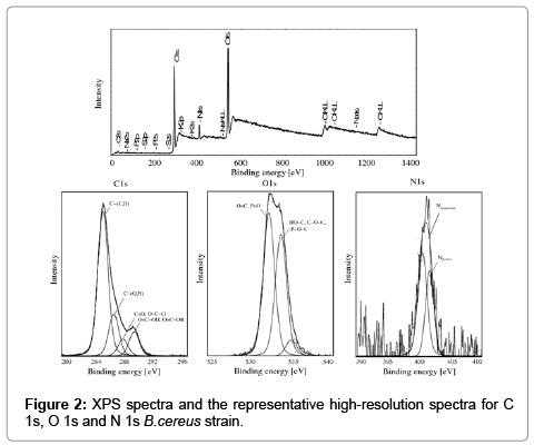 analytical-bioanalytical-techniques-XPS-spectra