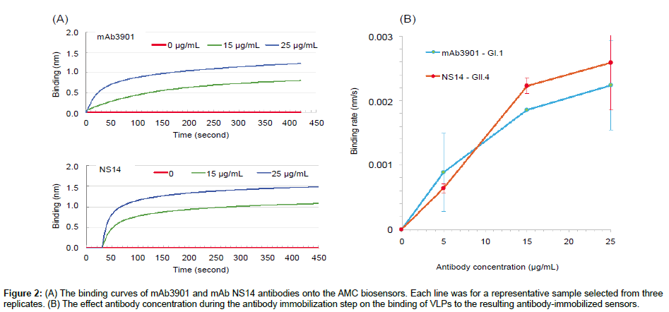 analytical-bioanalytical-techniques-binding-curves