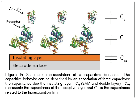 analytical-bioanalytical-techniques-capacitive-biosensor