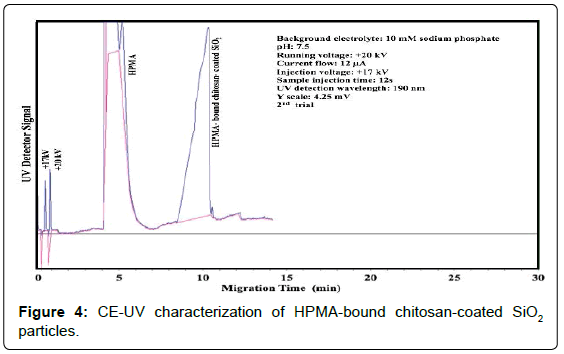 analytical-bioanalytical-techniques-characterization-bound-chitosan