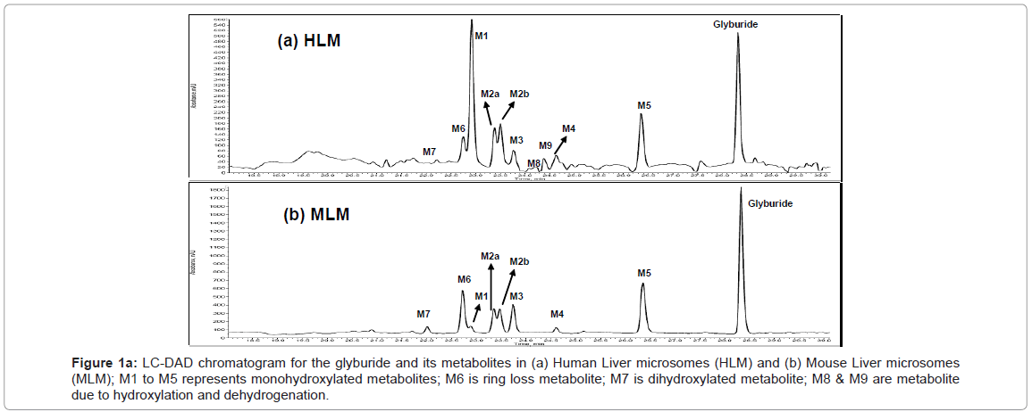 analytical-bioanalytical-techniques-chromatogram-glyburide-metabolites