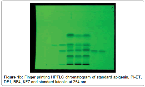 analytical-bioanalytical-techniques-chromatogram-standard-apigenin