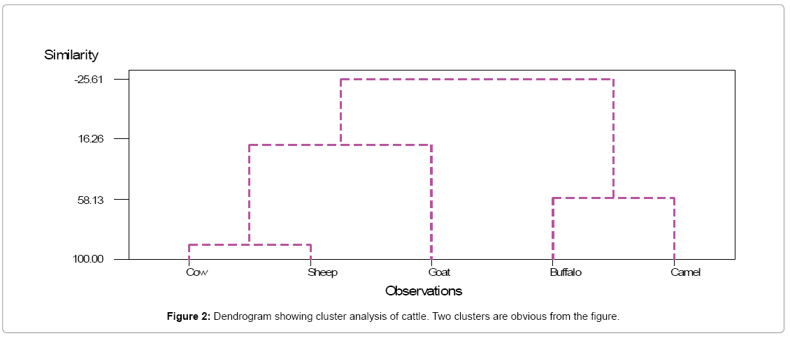 analytical-bioanalytical-techniques-cluster-analysis
