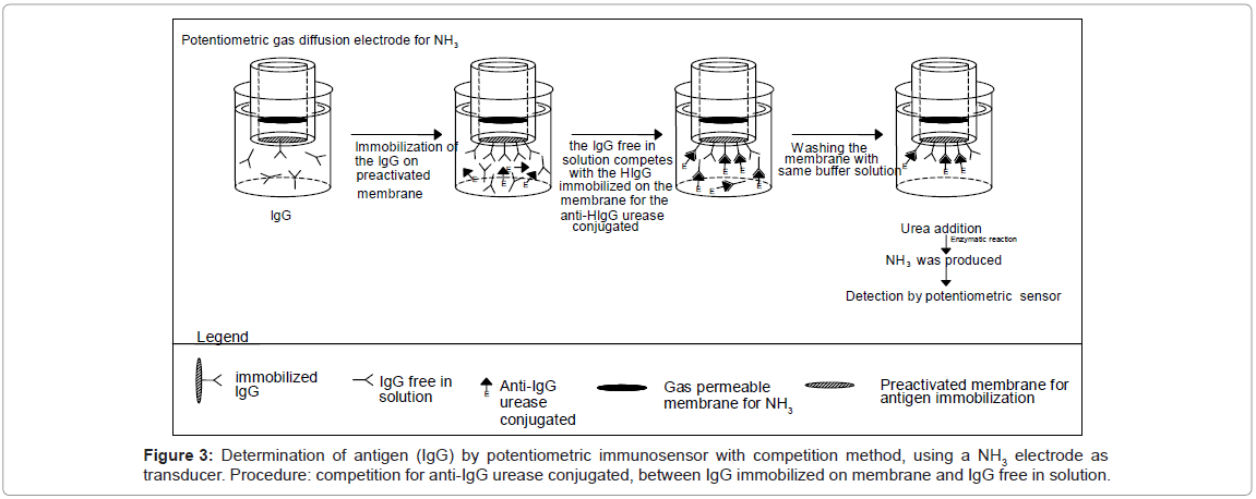 analytical-bioanalytical-techniques-competition-electrode-transducer