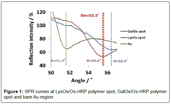 analytical-bioanalytical-techniques-curves-polymer-region