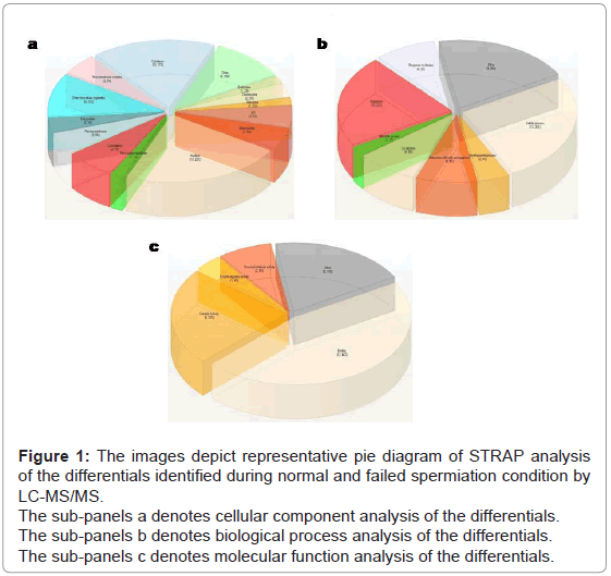 analytical-bioanalytical-techniques-depict-spermiation-condition