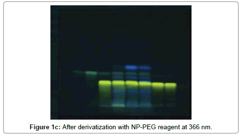 analytical-bioanalytical-techniques-derivatization-NP-PEG-reagent