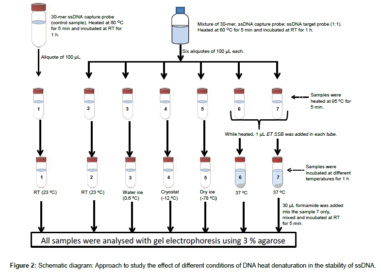 analytical-bioanalytical-techniques-different-conditions