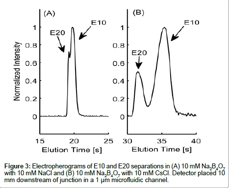 analytical-bioanalytical-techniques-downstream-junction