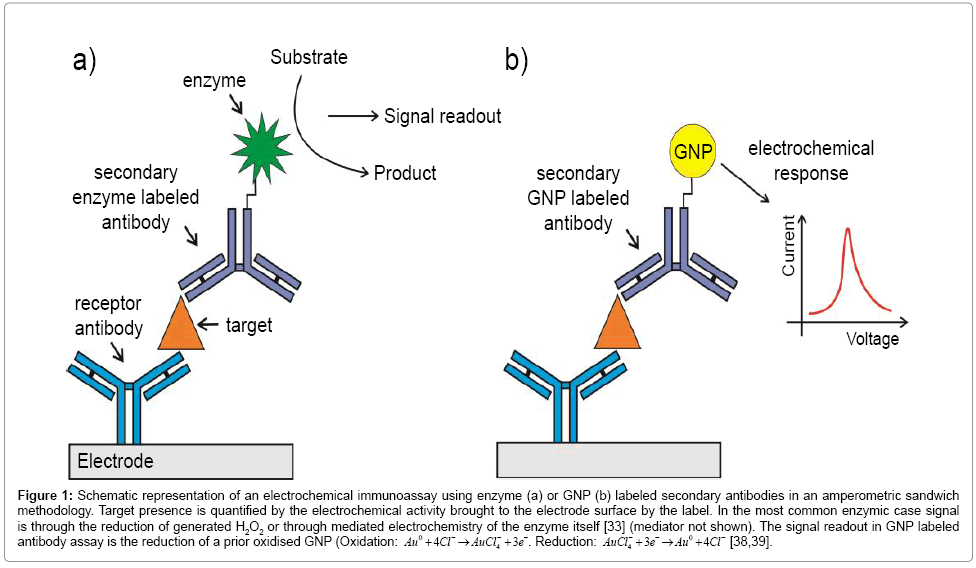 analytical-bioanalytical-techniques-electrochemical-immunoassay