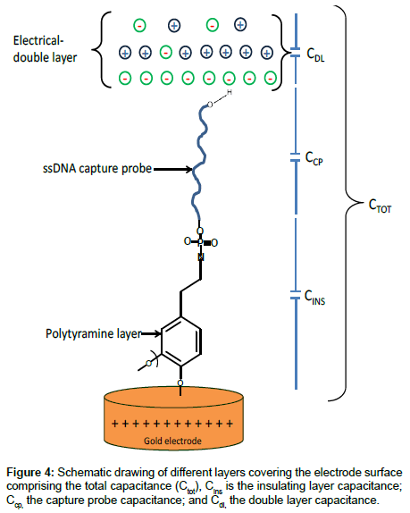 analytical-bioanalytical-techniques-electrode-surface