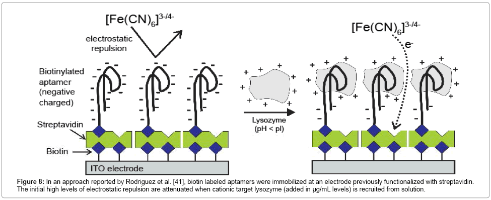 analytical-bioanalytical-techniques-electrostatic-repulsion